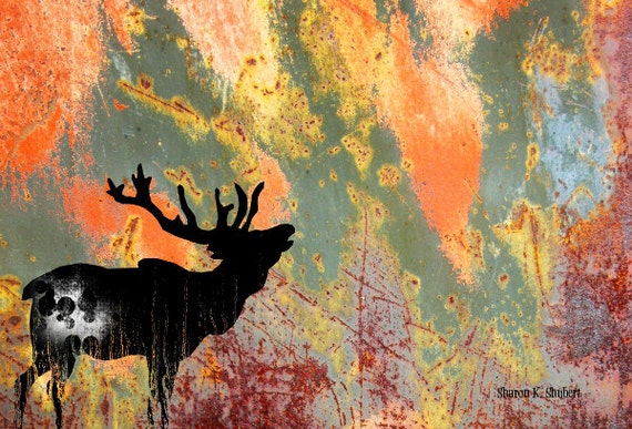 Elk 8 x 10 print