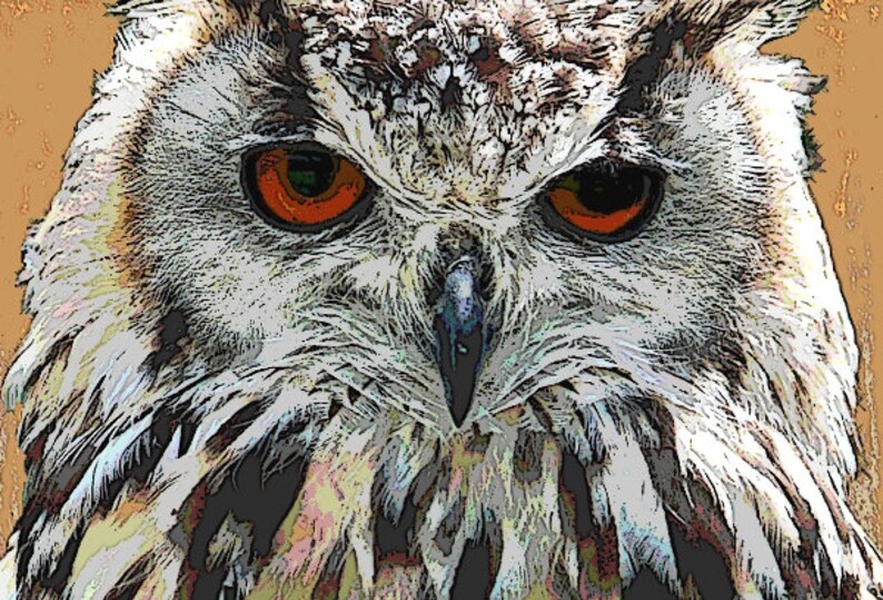 Great Horned Owl Art Native American Spirit Animal 8 x 10 Etsy