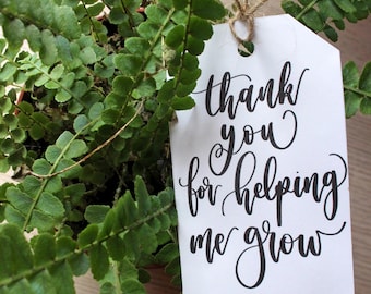 Könnte beinhalten: Ein Topf mit einer üppigen grünen Farnpflanze. Ein weißes Etikett mit dem schwarzen Schriftzug "thank you for helping me grow" ist mit Schnur befestigt. Der Topf ist braun. Ein durchdachtes Geschenk.