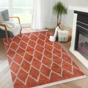 May include: A terracotta-colored rug with a white diamond pattern. The rug has a fringe border and is laid out on a hardwood floor.