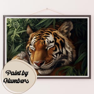 Paint by Numbers Kit for Adults: Jungle Dreams, DIY Painting, Painting Art for Decor, Gift Ideas, Home Wall Art Decor