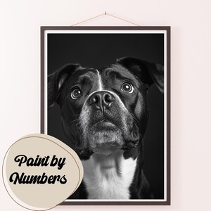 Paint by Numbers Kit for Adults: Faithful Gaze, DIY Painting, Painting Art for Decor, Gift Ideas, Homemade Wall Art Decor