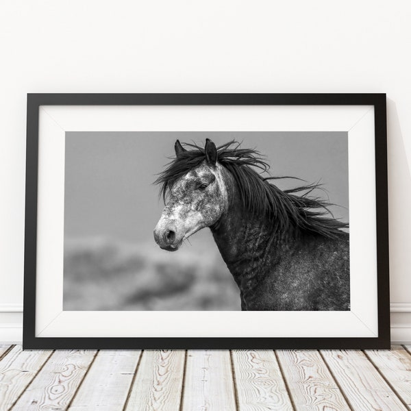 Wild Horse Print, Horse Wall Art, Horse Head Photography, Equine Wall Decor, Printable Wall Art Horse, Large Wall Art Prints Photo