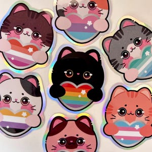 QUEER CAT-stickers - LGBT, biseksueel, lesbienne, homoseksueel, aseksueel, transseksueel en niet-binair
