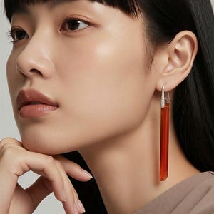 May include: A woman wearing long, rectangular earrings. The earrings have a silver top with small, clear stones and a long, reddish-brown, rectangular pendant. The woman has dark hair and is wearing a neutral-colored top.