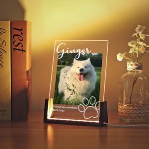 Custom Pet Photo Night Light, Personalized Pet Photo Plaque, Pet Memorial Frame, Pet Lover Night Light, Cat/Dog Loss Gift, Dog Sympathy Gift
