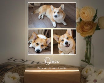 Custom Pet Photo Night Light, Personalized Pet Frame, Pet Memorial Keepsake, Pet Loss Sympathy Gift, Pet Bereavement Gift, Pet Lovers gift