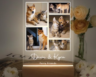 Custom Pet Photo Night Light, Personalized Pet Frame, Pet Memorial Keepsake, Pet Loss Sympathy Gift, Pet Bereavement Gift, Pet Lovers gift