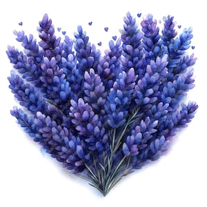 10 imágenes prediseñadas de acuarela de corazón de lavanda, imágenes prediseñadas de ramo de lavanda de acuarela de alta calidad para imprimir en formato JPG, arte de corazón morado para el día de San Valentín