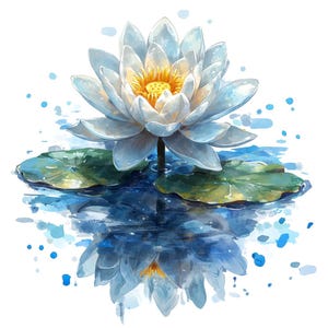 13 Clipart di fiori di ninfea bianca, immagini JPG di clipart di loto indiano bianco di alta qualità stampabili Nymphaea, ninfea d'acqua, ninfea di stagno