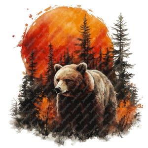 24 Vários Urso Clipart Aquarela Clipart, Imprimível Alta Qualidade Aquarela Urso Bonito Clipart JPG Imagens, Urso e Floresta Clipart Arte de Parede