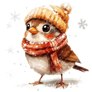 12 cliparts aquarelle hiver oiseau, images JPG imprimables haute qualité aquarelle oiseau original clipart, oiseau mignon avec écharpe et chapeau, fantaisiste
