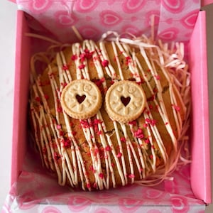 Giant Stuffed Cookies | NYC Style Sharing Treat |  Gift
