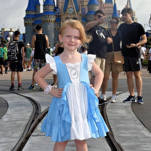 Cinderella Themed Dress for Girls - Princess Cinderella Dress for Girls - Disney Inspired Princess Dress for Girls - Disney Outfit