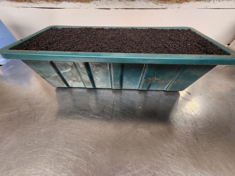 Garden Of The God's Organic Compost / Raised Bed Soil / Potting Mix / No Chemicals / For All Plants / 5 Quart Bag 9 pounds image 3
