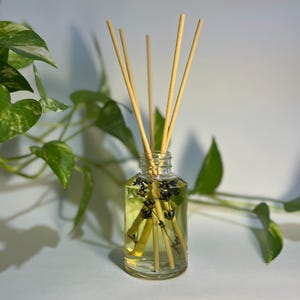 Lavender & Rosewood Botanical Reed Diffuser, All-Natural Essential Oil Blend, 100ml, Floral Reed Diffuser, Gift for Her Home Decor