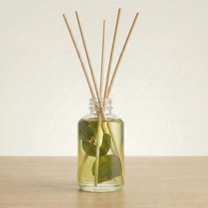 Botanisk doftspridare: Eteriska oljor av tall, eukalyptus och apelsin