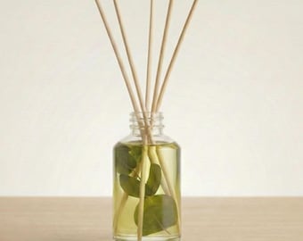 Difusor de varillas botánico: aceites esenciales de pino, eucalipto y naranja