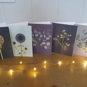 Cartes de voeux botaniques, lot de 5, illustrées à la main dans le Somerset. Livraison gratuite au Royaume-Uni