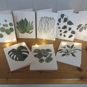 Lot de 8 cartes de vœux représentant une plante d'intérieur, illustrées à la main dans le Somerset. Livraison gratuite au Royaume-Uni