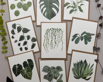 Houseplant Greetings cards pack of 9, hand illustrated in Somerset. Free UK delivery