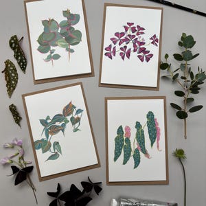 Botanical Greetings Cards, pakiet 4 sztuk - kolorowa seria. Ręcznie ilustrowane w Somerset. Darmowa dostawa w Wielkiej Brytanii.