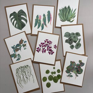 観葉植物のグリーティングカード、9枚セット。サマセットで手描きされたイラスト入り。英国送料無料。