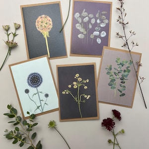 Botanische wenskaarten, pakket van 5, met de hand geïllustreerd in Somerset. Gratis verzending in het VK