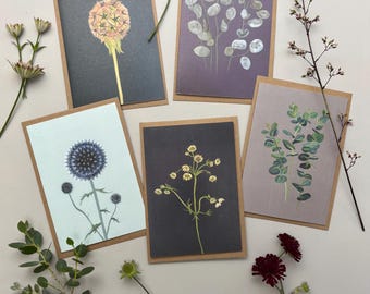 Botanical Greetings Cards, pack of 5, hand illustrated in Somerset. Free UK delivery