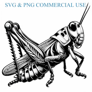 Grasshopper SVG & PNG Digital Files, Vector Graphic Design Print Laser Engrave Files, Instant Digital Download