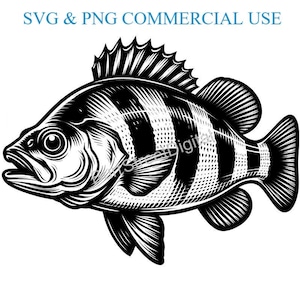 以下が含まれることがあります： 背びれのある縞模様の魚の白黒の線画イラスト。魚は左を向いており、大きな目があります。