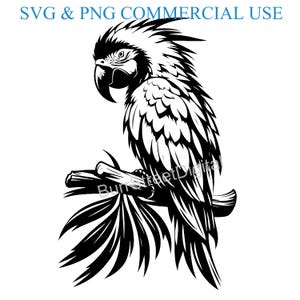 May include: Black and white line art illustration of a parrot perched on a branch. The parrot has a large beak and is facing to the left. The parrot's tail feathers are spread out behind it.