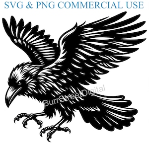 May include: Black and white illustration of a raven with its wings spread wide. The raven is in flight and has a fierce expression.