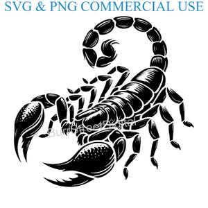 Scorpion SVG & PNG Digital File, Vector Graphic Design Print Laser Engrave Files, Instant Digital Download,