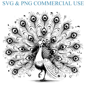 Peacock SVG & PNG Digital Files, Vector Graphic Design Print Laser Engrave Files, Instant Digital Download