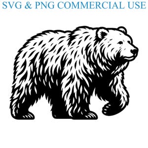 May include: Black and white illustration of a bear standing on all fours. The bear has a thick coat of fur and is looking to the right.