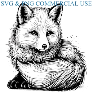 Fox SVG & PNG Files, Vector Graphic Design (Digital Download)