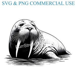 Walrus SVG & PNG Digital Files, Vector Graphic Design Print Laser Engrave Files, Instant Digital Download,