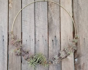 Contemporary minimalist boho hoop wreath for door, succulent air plant wreath, neutral color wreath, All Seasons wreath, winchesterwendy