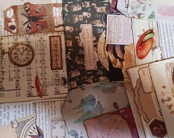 Junk journal goodie bag all about mushrooms. Has tags, pockets, envelopes, and more.