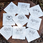 Napkins