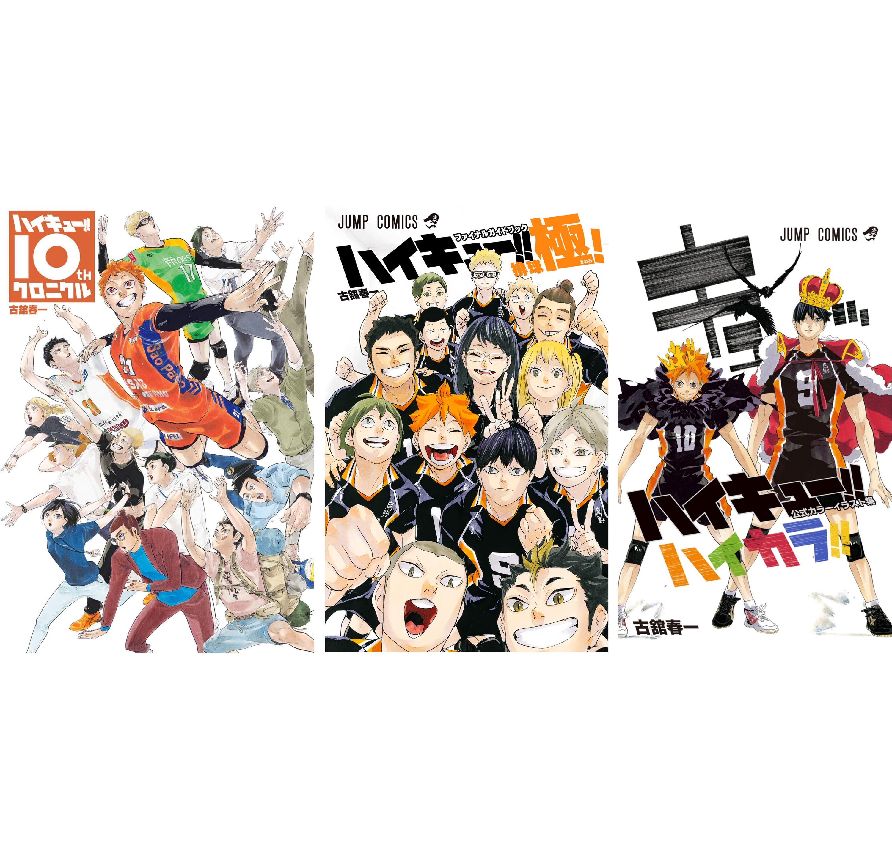 バンドル3 ハイキューアートブック：10thクロニクル/ファイナルガイド