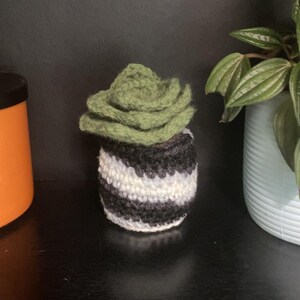 Crochet succulent