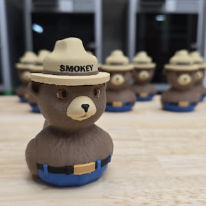 Park Ranger Duck - 3D Printed