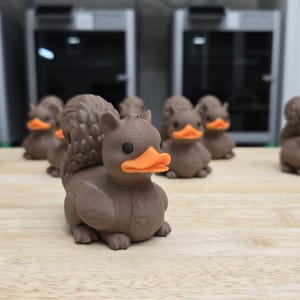 Squirrel Duck - 3D Printed