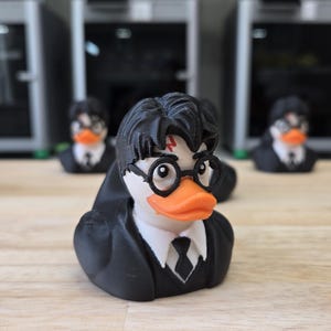 Wizard Duck - 3D Printed