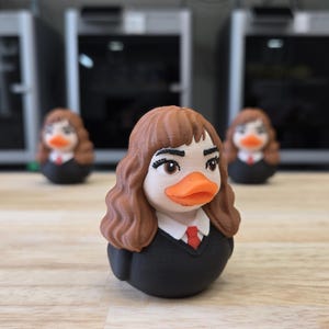 Smart Wizard Duck - 3D Printed