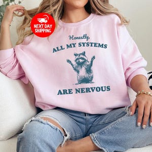 Puede incluir: Una sudadera rosa con el texto "Honestamente, todos mis sistemas est&aacute;n nerviosos" y una ilustraci&oacute;n de mapache de dibujos animados.