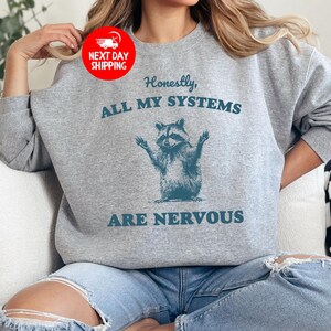 Puede incluir: Sudadera gris con un gr&aacute;fico de mapache y el texto "Honestamente, todos mis sistemas est&aacute;n nerviosos".