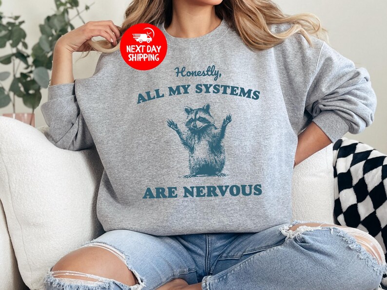 Puede incluir: Sudadera gris con un gr&aacute;fico de mapache y el texto "Honestamente, todos mis sistemas est&aacute;n nerviosos".